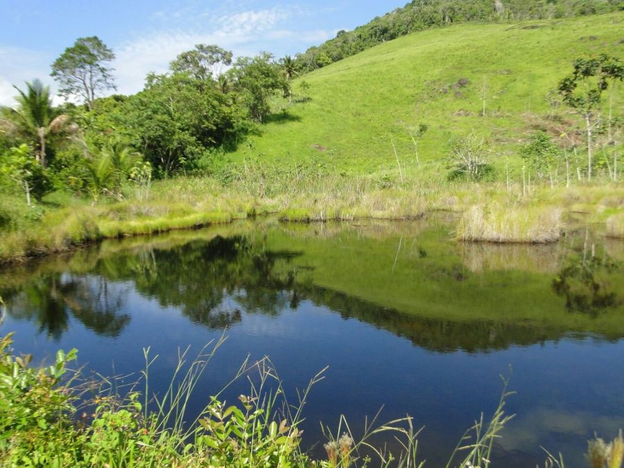 Fazenda - Venda - Zona Rural - Camamu - BA
