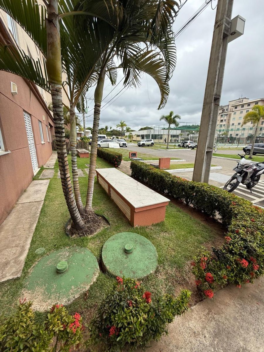 Apartamento - Venda - Ceplus - Ilh�us - BA