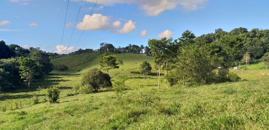 Fazenda - Venda - Ubaitaba - Ubaitaba - BA