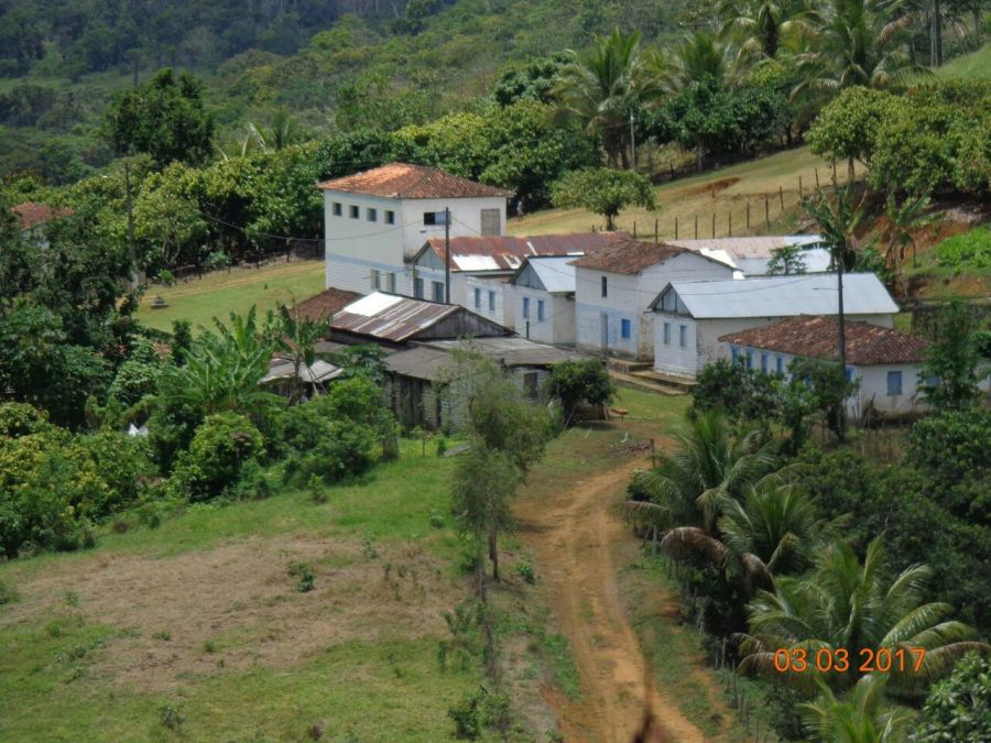 Fazenda - Venda - Sul da Bahia - Camamu - BA