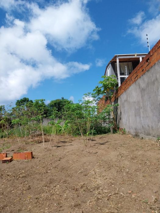Terreno - Venda - Nossa Senhora da Vit�ria - Ilh�us - BA