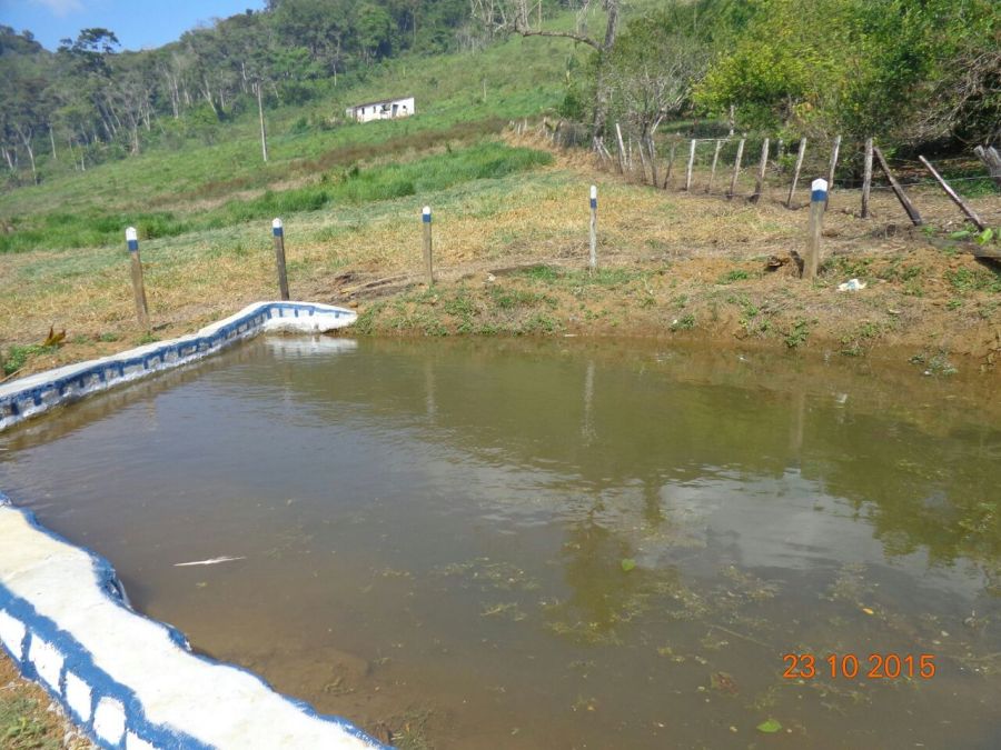 Fazenda - Venda - Zona Rural - Camamu - BA