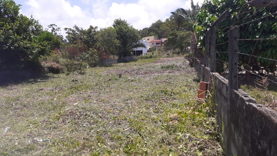 Terreno - Venda - Oliven�a - Ilh�us - BA